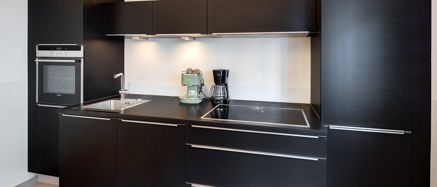 플랫 München Maxvorstadt - Museumsviertel 01 주방 8504