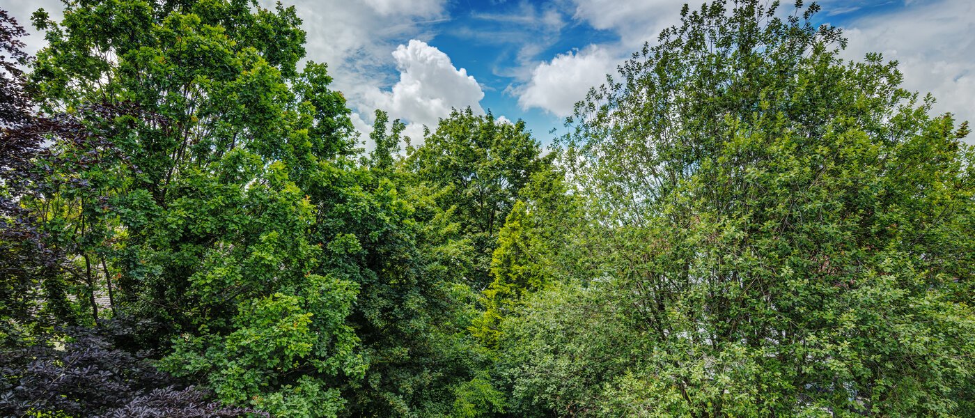 Lapos München Ramersdorf 02 A  megtekintése 8588