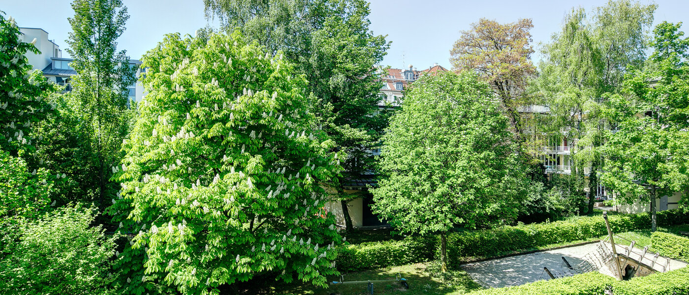 Flad München Maxvorstadt - Universitätsviertel 02 Udsigt 8629