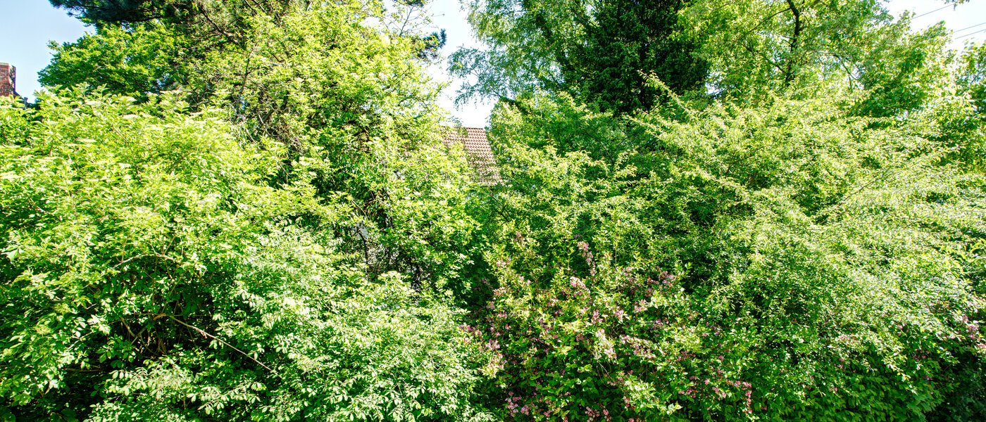 Плосък München Freimann 04 Вижте 8673