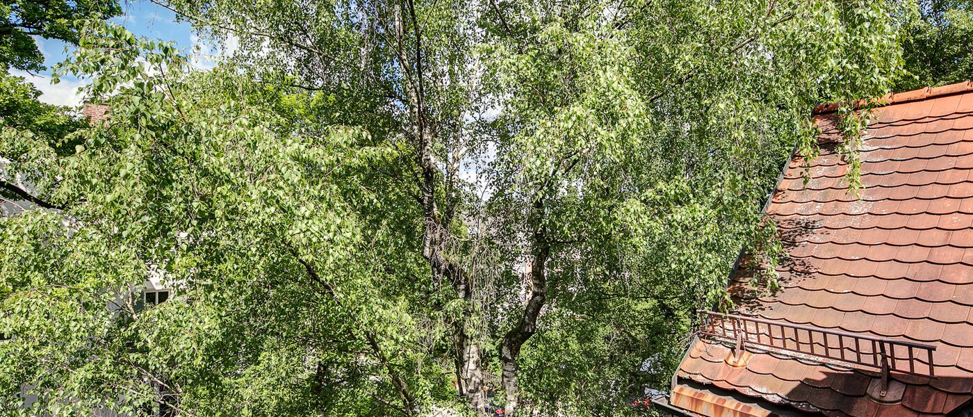 Loftslejlighed München Solln 03 Udsigt 8785