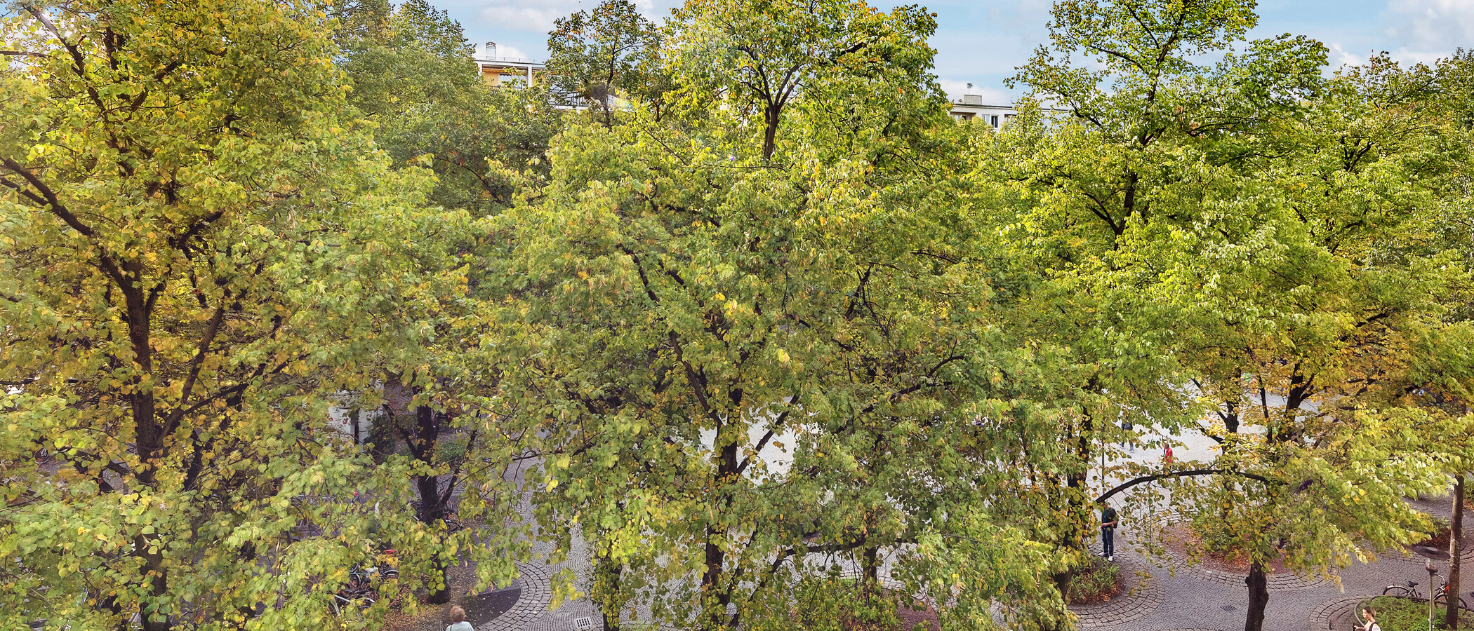 Platt München Schwabing-West (rund um den Hohenzollernplatz) 01 Utsikt 8850