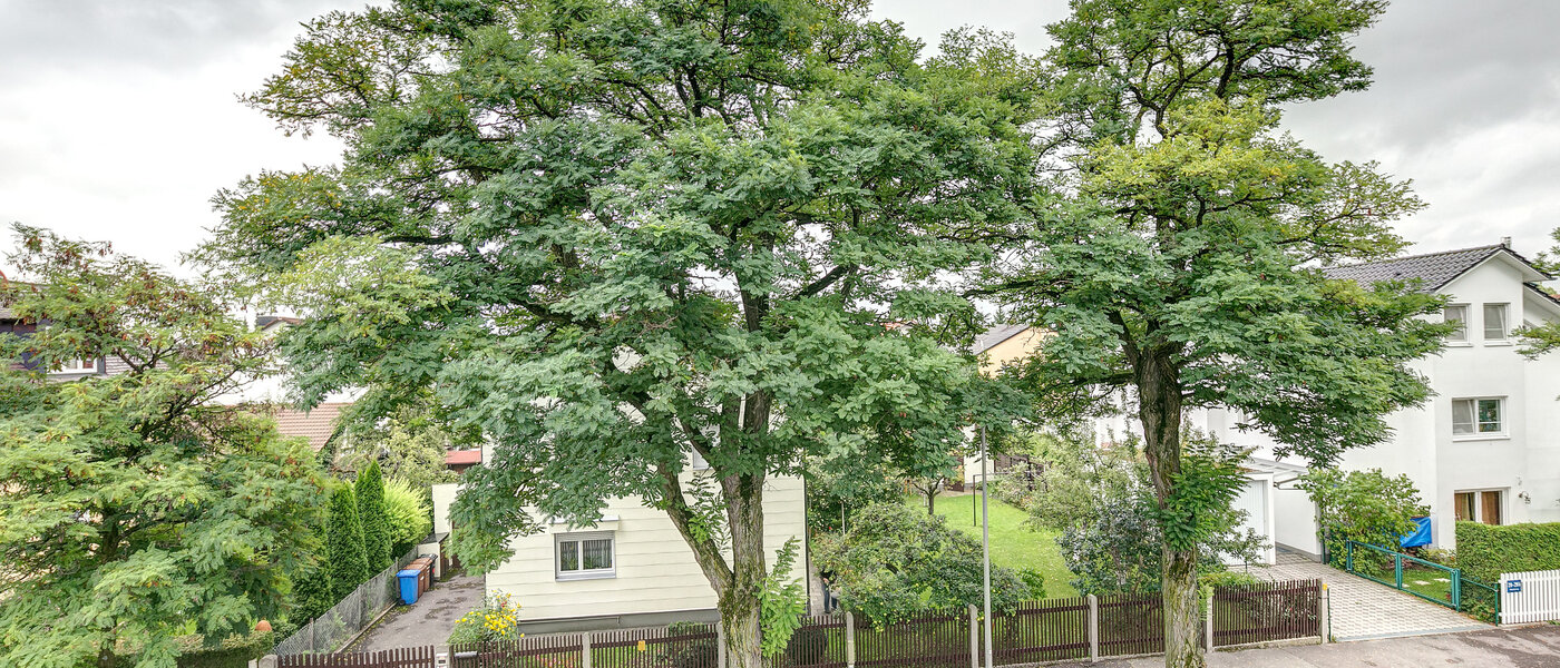 Ház München Freimann 02 A  megtekintése 8852