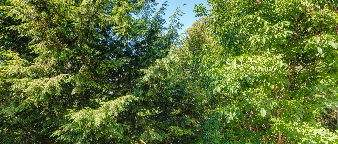 Lapos München Sendling-Westpark 02 A  megtekintése 8875