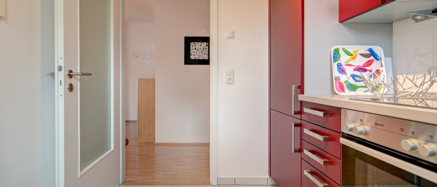 Ravna stran München Obergiesing 03 Kuhinja 8891