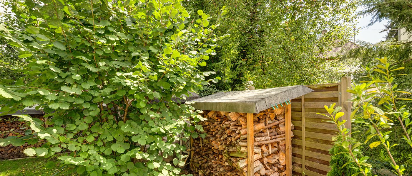 Lapos Gräfelfing 04 Kert 8902