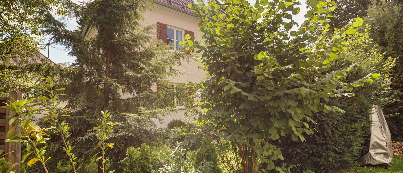 Lapos Gräfelfing 01 A  megtekintése 8902