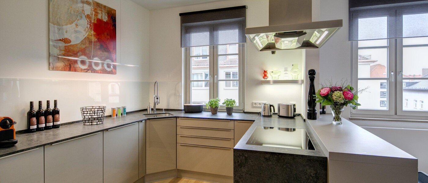 Ploché München Maxvorstadt - Universitätsviertel 01 Kuchyně 9074