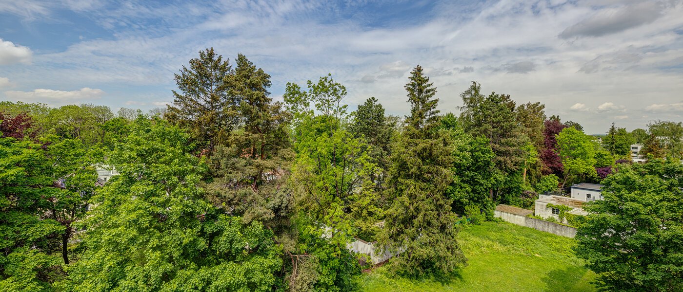 Platt München Waldtrudering 01 Utsikt 9176