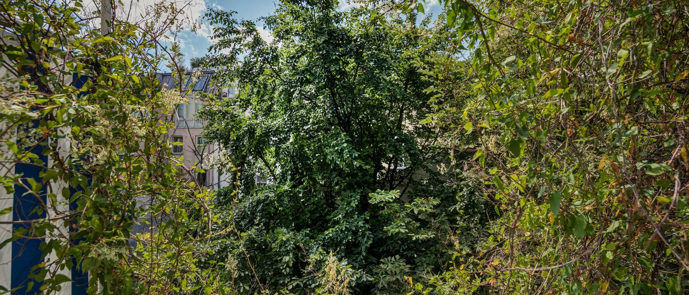 Lapos München Schwabing 02 A  megtekintése 9272