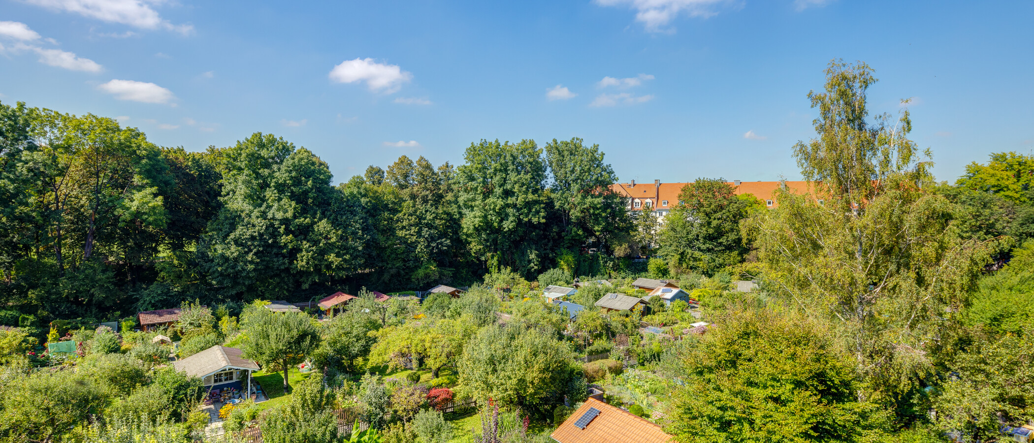 Lapos München Thalkirchen 01 A  megtekintése 9295