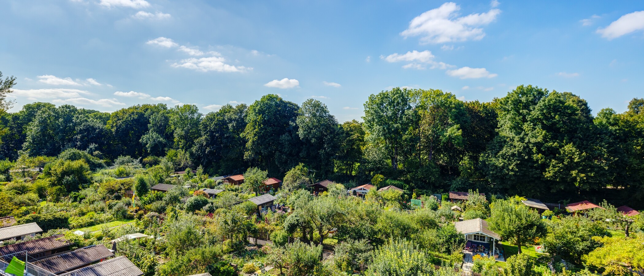 Lapos München Thalkirchen 02 A  megtekintése 9295
