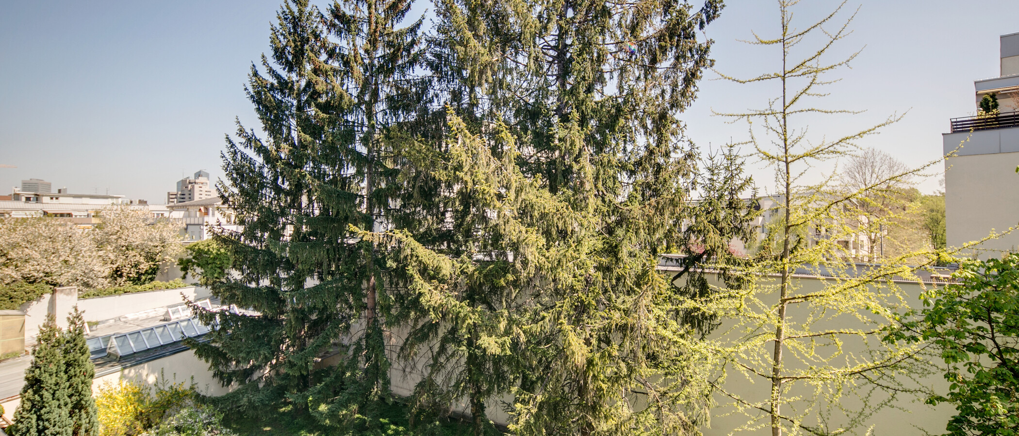 Ploché München Schwabing (rechts der Leopoldstraße) 01 Zobrazit 9457