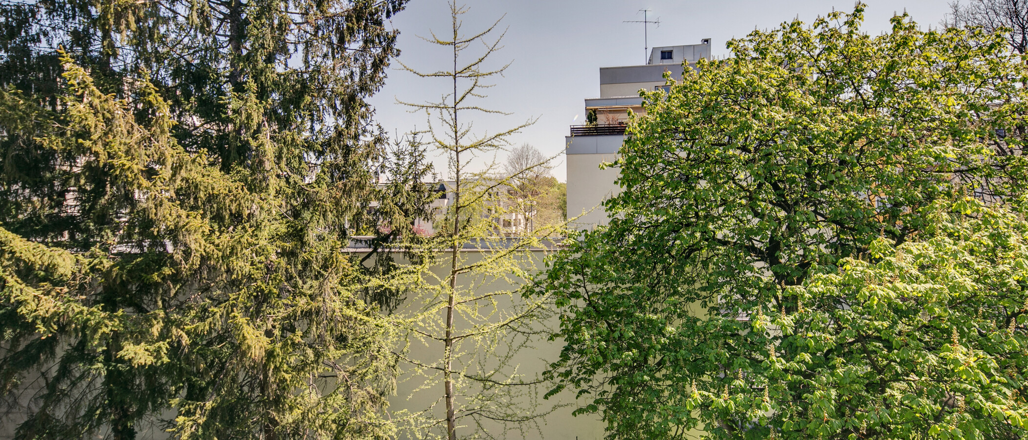 Ploché München Schwabing (rechts der Leopoldstraße) 02 Zobrazit 9457