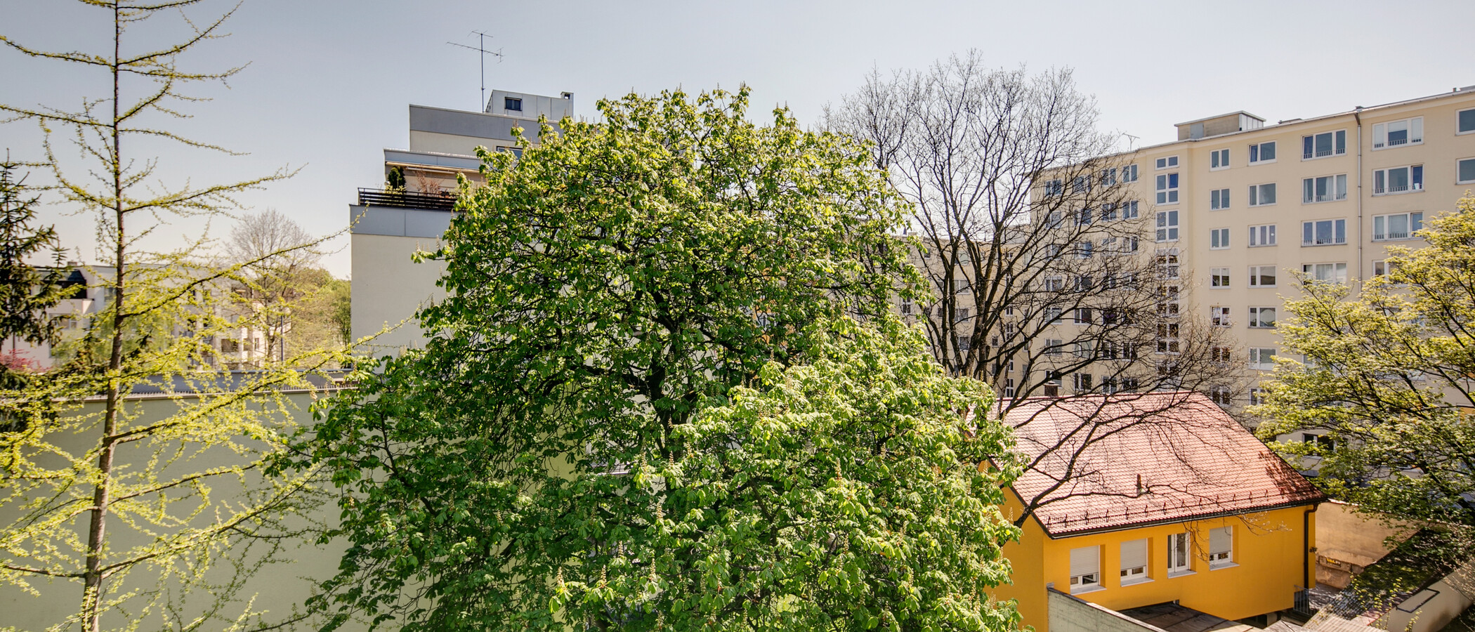Ploché München Schwabing (rechts der Leopoldstraße) 03 Zobrazit 9457