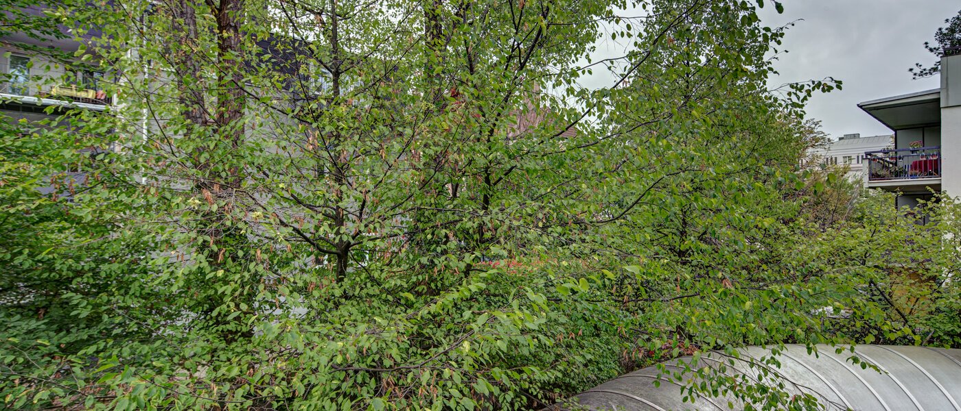 Plat München Haidhausen 02 Bekijk 9683