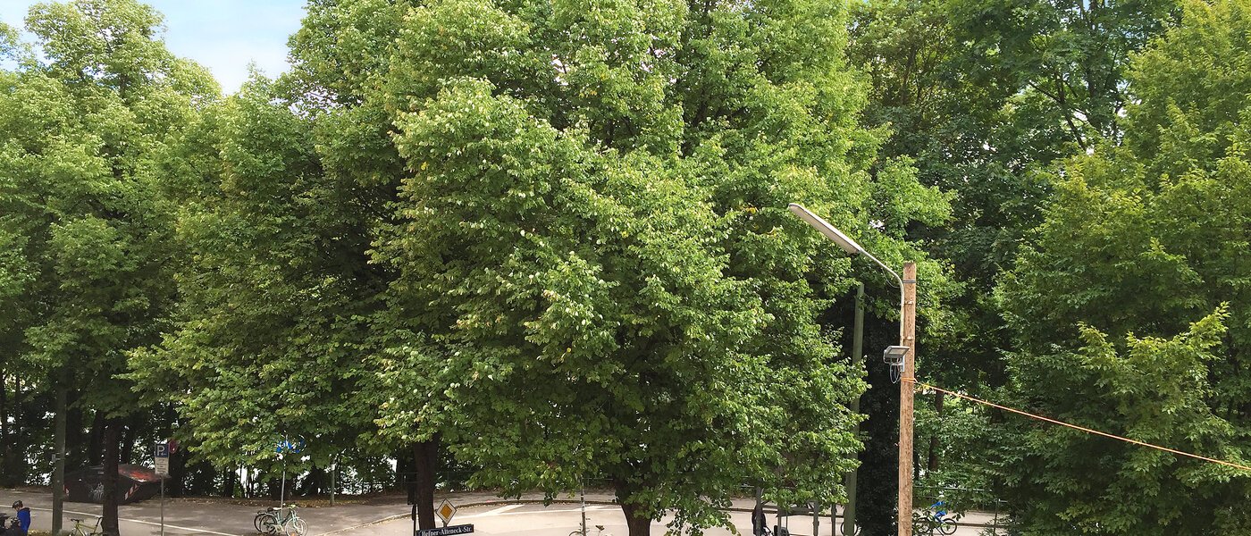 Flad München Isarvorstadt 03 Udsigt 9687