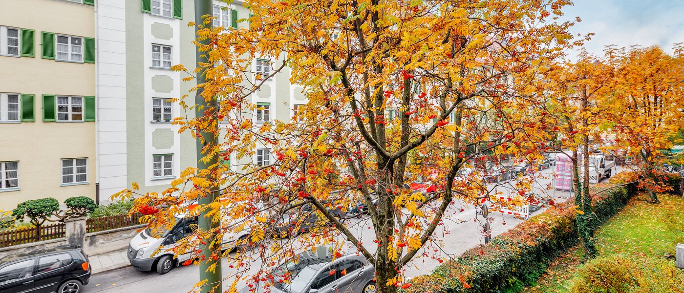 Плоский München Neuhausen 02 Вигляд 9737