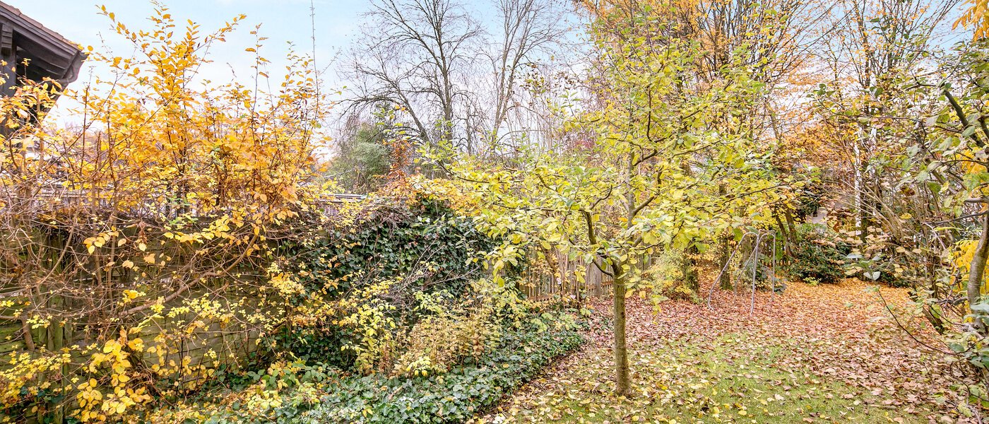 Ploché Gauting 01 Zobraziť 9747