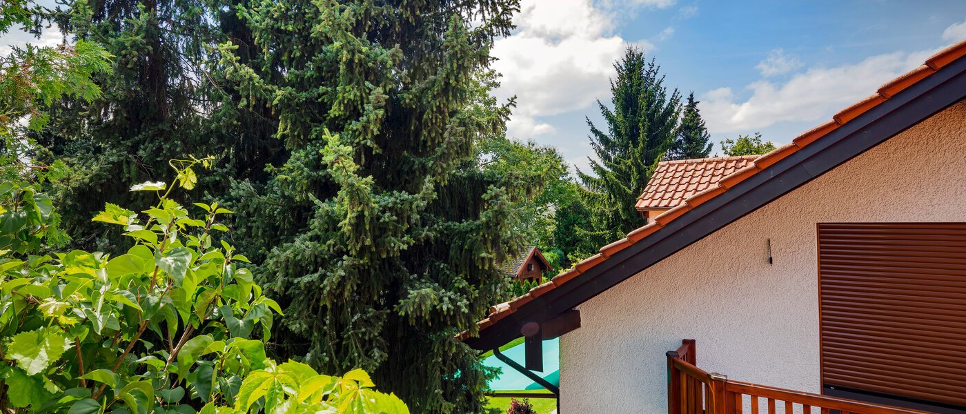 Lapos München Berg am Laim 02 A  megtekintése 9783