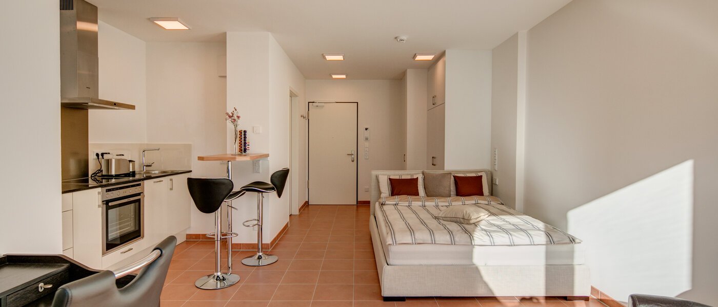 Плоский München Isarvorstadt 03 Життя 9891