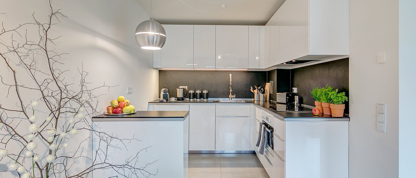 Плосък München Schwabing-Georgenschwaige 01 Кухня 9904