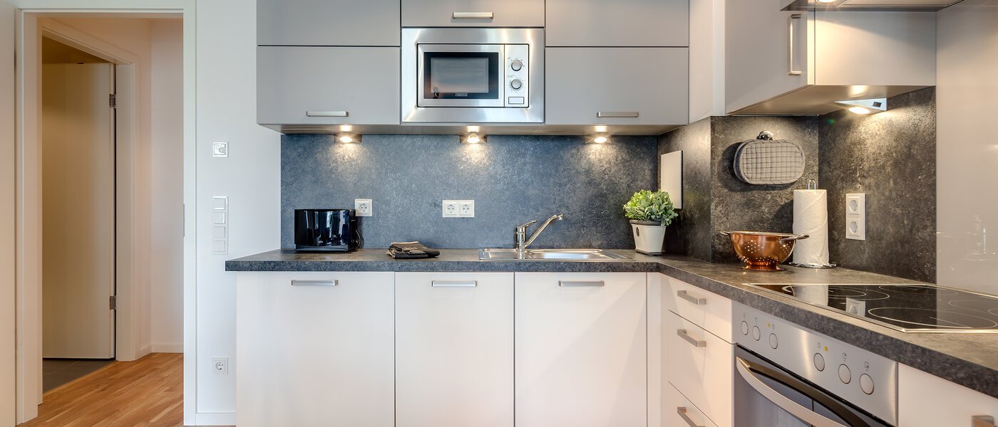 Επίπεδη München Lehel 02 Κουζίνα 9937