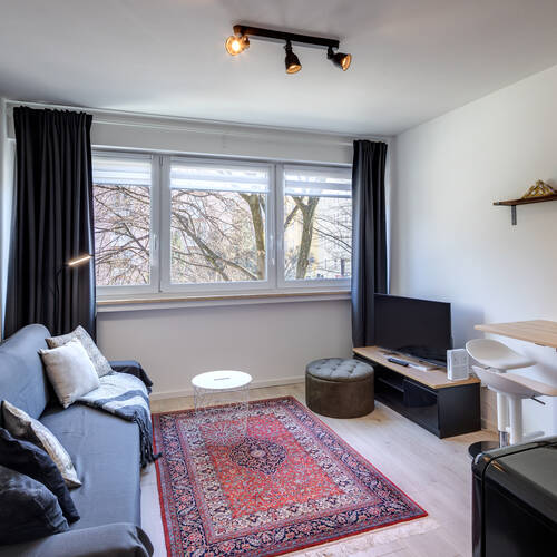 Lapos a  címen 1 Szoba | München-Maxvorstadt | 13357