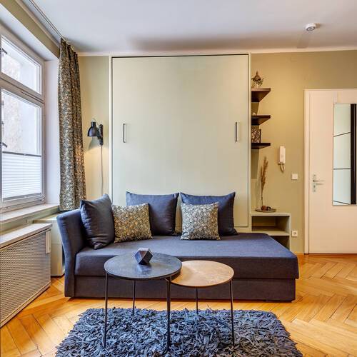 Ploché s 1 Pokoj | Mnichov-Altstadt | 13374