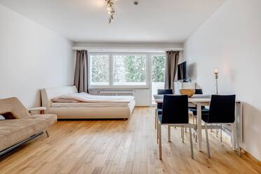 Großzügige 1-Zimmer Wohnung auf Zeit mieten