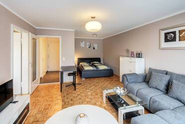 아름답고 현대적인 가구가 완비된 원룸 아파트