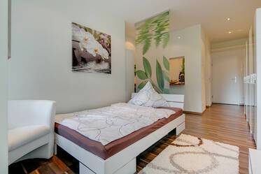 Veldig fint møblert Flat in Neuhausen