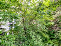 Flat München Maxvorstadt 02 Utsikt 10870