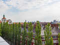 Flat München Au 05 Felles terrasse  13003
