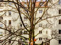 Ploché München Lehel 04 Zobrazit 14254