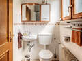 Hus Gmund am Tegernsee 01 2. Bad 14912