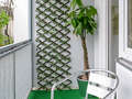 Ploché München Schwabing (links der Leopoldstraße) 01 Balkon 2333