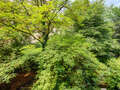 Flad München Schwabing-West 02 Udsigt 2711