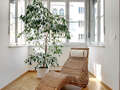 Ploché München Altbogenhausen 09 Living 5506