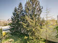 Ploché München Schwabing (rechts der Leopoldstraße) 01 Zobrazit 9457