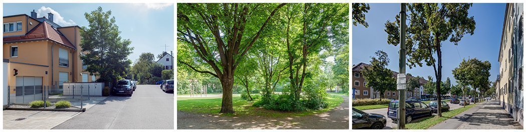 Fotos vom Stadtteil Waldfriedhof Fotos der Umgebung vom Stadtteil Waldfriedhof